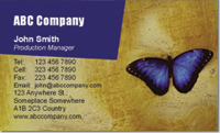Beauty and Spa, butterfly, purple, blue, wings, insect, nature,